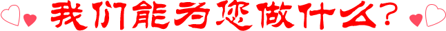 我们能为您做什么？