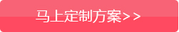 马上定制方案